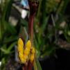 View the image: OLYMPUS DIGITAL CAMERA