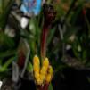 View the image: OLYMPUS DIGITAL CAMERA