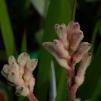 View the image: OLYMPUS DIGITAL CAMERA