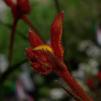 View the image: OLYMPUS DIGITAL CAMERA