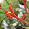 View the image: OLYMPUS DIGITAL CAMERA