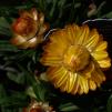 View the image: OLYMPUS DIGITAL CAMERA