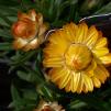 View the image: OLYMPUS DIGITAL CAMERA