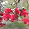 View the image: OLYMPUS DIGITAL CAMERA