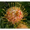 View the image: Olympus E-510