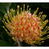 View the image: Olympus E-510