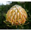 View the image: Olympus E-510