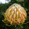View the image: Olympus E-510