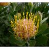 View the image: Olympus E-510