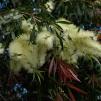 View the image: OLYMPUS DIGITAL CAMERA