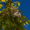 View the image: OLYMPUS DIGITAL CAMERA