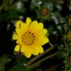 View the image: OLYMPUS DIGITAL CAMERA