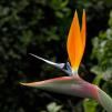 View the image: OLYMPUS DIGITAL CAMERA