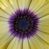View the image: _M115604-67
