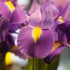 View the image: _M210184-148