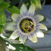 View the image: _M210193-150