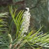 View the image: _M237946-59