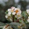 View the image: M115598-45
