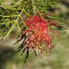 View the image: OLYMPUS DIGITAL CAMERA