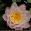 View the image: OLYMPUS DIGITAL CAMERA