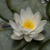 View the image: OLYMPUS DIGITAL CAMERA