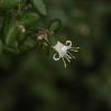 View the image: OLYMPUS DIGITAL CAMERA