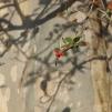 View the image: OLYMPUS DIGITAL CAMERA