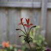 View the image: OLYMPUS DIGITAL CAMERA