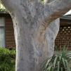 View the image: OLYMPUS DIGITAL CAMERA