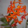 View the image: _PM20514-9