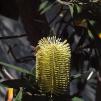 View the image: OLYMPUS DIGITAL CAMERA