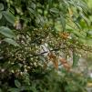 View the image: OLYMPUS E-510