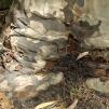 View the image: OLYMPUS DIGITAL CAMERA