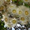 View the image: OLYMPUS DIGITAL CAMERA