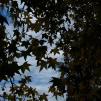 View the image: OLYMPUS - E-510 dSLR