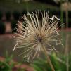 View the image: OLYMPUS - E-510 dSLR