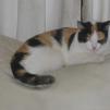 View the image: IMG_0664