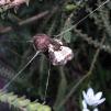 View the image: DSCN0585-4