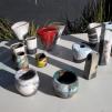 View the image: DSCN1496