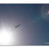 View the image: F18 Super Hornet out of the Sun
Olympus E-30