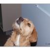 View the image: Olympus E-30