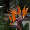 View the image: Olympus E-30