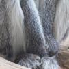 View the image: Vervet monkey - Olympus E-30
Taken through thick glass