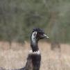 View the image: Olympus E-30