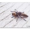 View the image: Olympus E-30