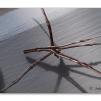 View the image: Olympus E-30