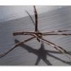 View the image: Olympus E-30