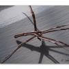 View the image: Olympus E-30