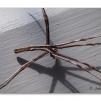 View the image: Olympus E-30