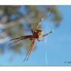 View the image: Olympus E-30